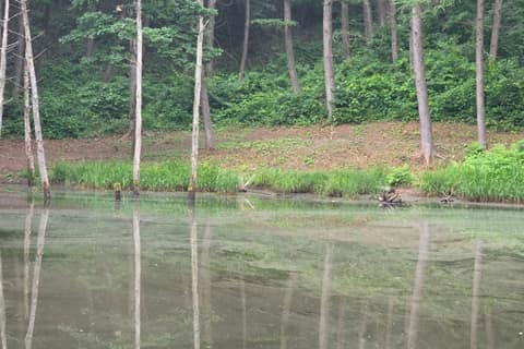 운탄고도1330_4길 사진 3