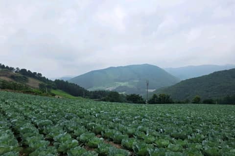 운탄고도1330_4길 사진 4