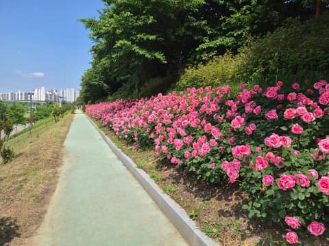 스크랜튼길 사진 3