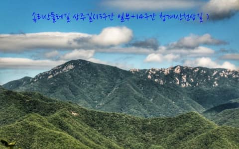 속리산둘레길상주길13구간(용유계곡솔숲길) 사진 1