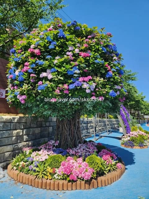 강북감성길(늘푸른역사길) 사진 8