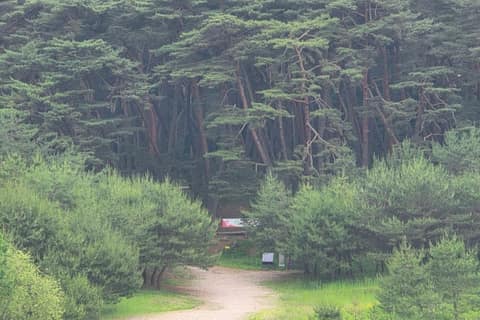운탄고도1330_1길 사진 1