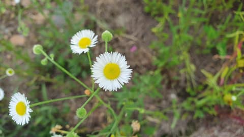 여강길9-1코스(양촌달빛길) 사진 8