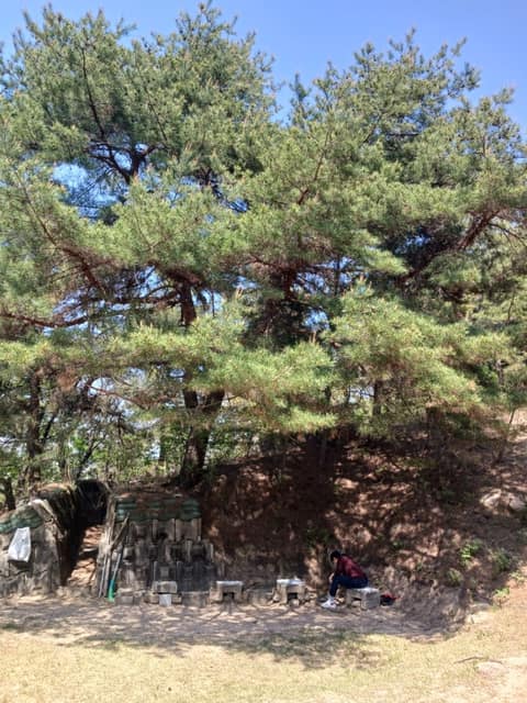 장암숲늘품길(경계숲길) 사진 8