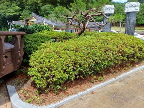 이순신승전길(노량해전) 사진 5