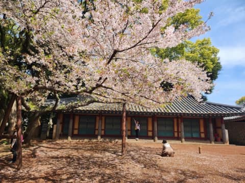 성안올레3코스 사진 1