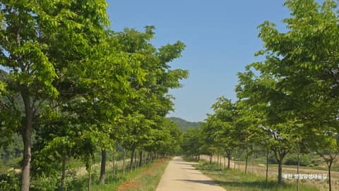 쌍절암생태숲길 사진 6