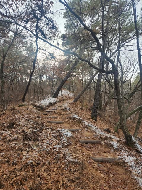장암숲늘품길(내부숲길) 사진 4