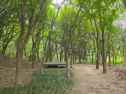 불암산숲길 사진 1