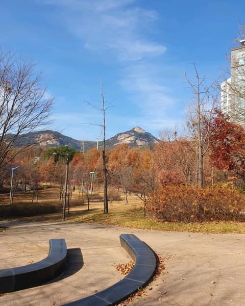 불암산숲길 사진 2