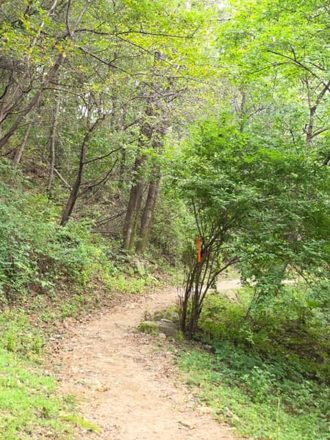 불암산숲길 사진 5