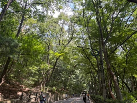 관악산계곡길 사진 1