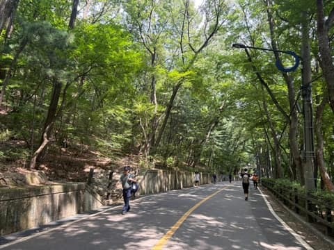관악산계곡길 사진 2
