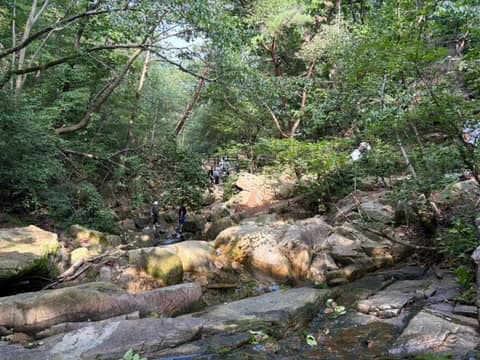 관악산계곡길 사진 5