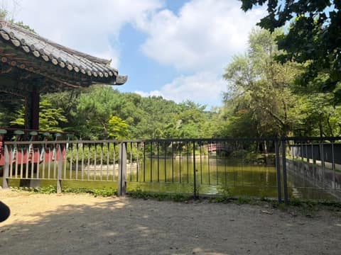 관악산계곡길 사진 6