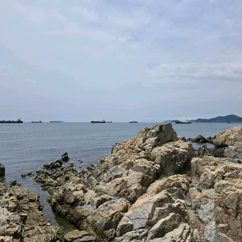 부산갈맷길3코스3구간 사진 1