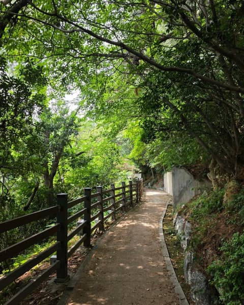 부산갈맷길3코스3구간 사진 3