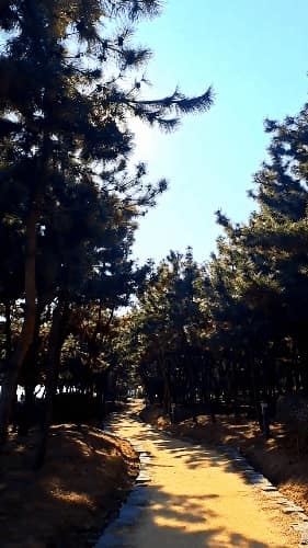 부산갈맷길5코스1구간 사진 1