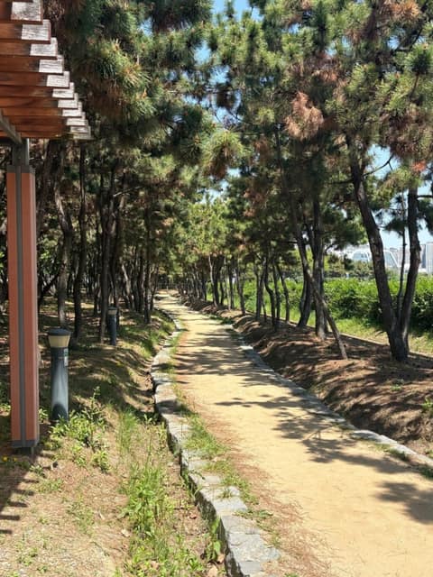 부산갈맷길5코스1구간 사진 5