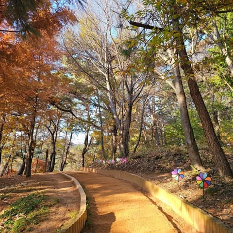 부산갈맷길8코스1구간 사진 5