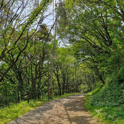 부산갈맷길4코스2구간 사진 1