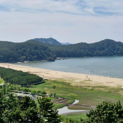 부산갈맷길4코스3구간 사진 5