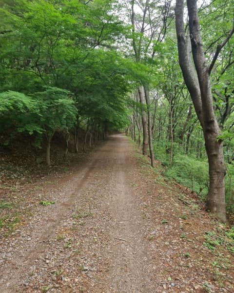 부산갈맷길9코스2구간 사진 1