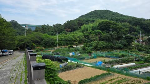 부산갈맷길9코스2구간 사진 4