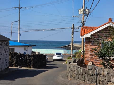 제주올레길20코스 사진 8
