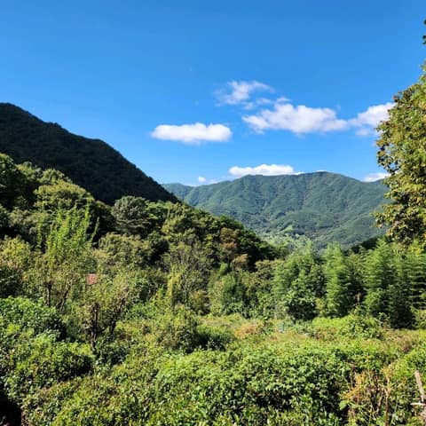 지리산둘레길하동읍-서당구간 사진 1