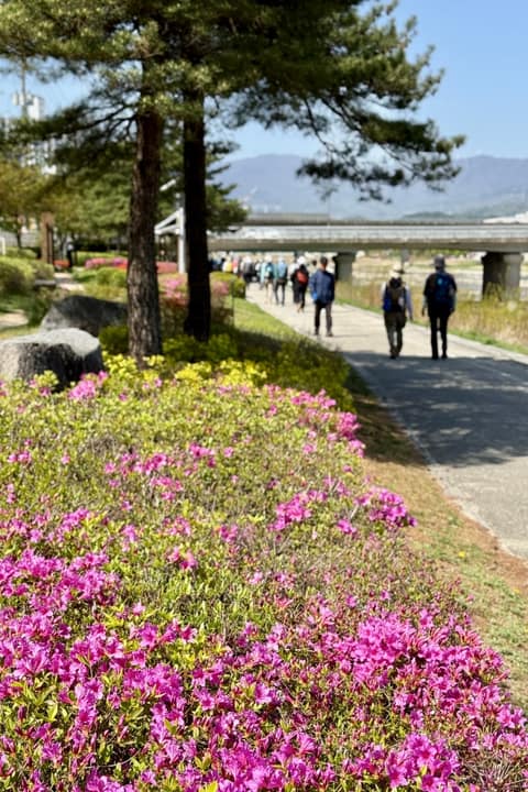 바우길15구간(강릉수목원가는길) 사진 3