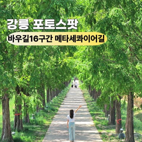 바우길16구간(학이시습지길) 사진 10