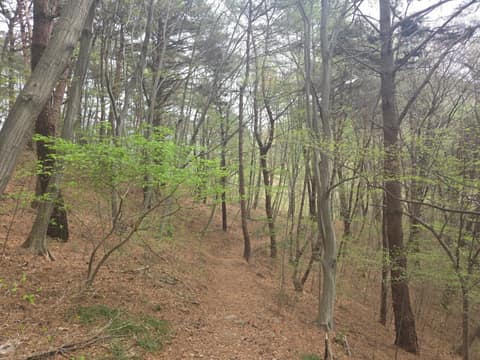 지리산둘레길가탄-송정구간 사진 1
