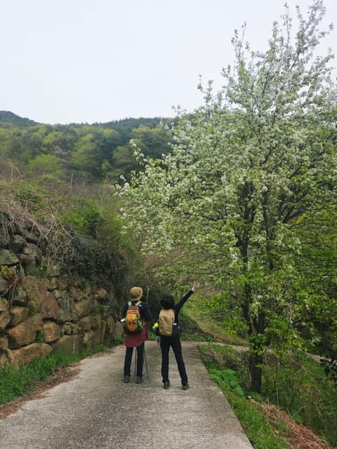 지리산둘레길가탄-송정구간 사진 5