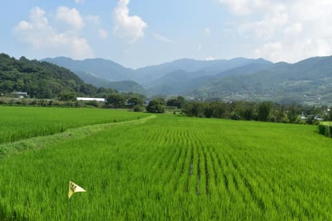 지리산둘레길산동-주천구간 사진 1