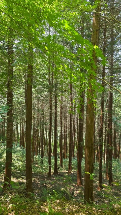 지리산둘레길방광-산동구간 사진 2