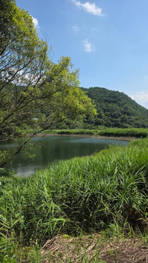 지리산둘레길방광-산동구간 사진 3