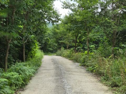 지리산둘레길방광-산동구간 사진 7