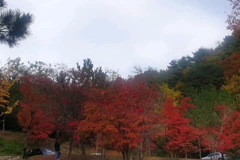 팔공산 사진 7