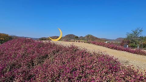 평화누리길11코스(임진적벽길) 사진 5