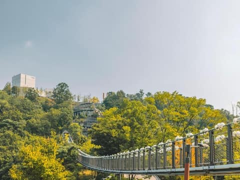 평화누리길3코스(한강철책길) 사진 2