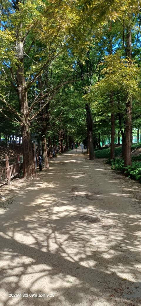 평화누리길5코스(킨텍스길) 사진 1
