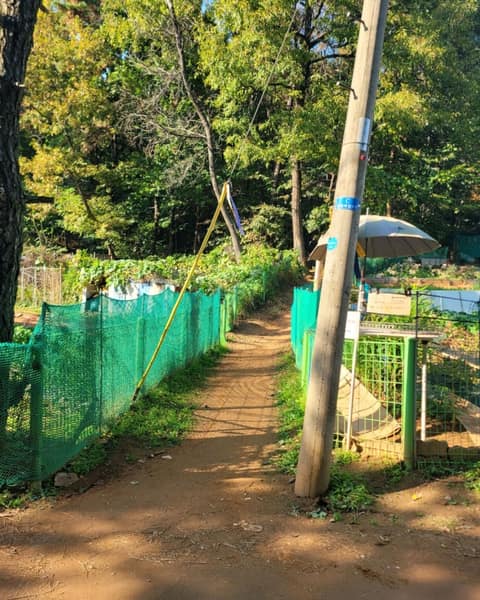 고양누리길4코스(행주누리길) 사진 3