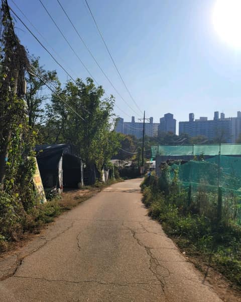 고양누리길4코스(행주누리길) 사진 7