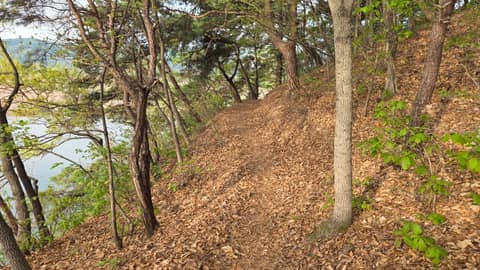 여강길3코스(바위늪구비길) 사진 4