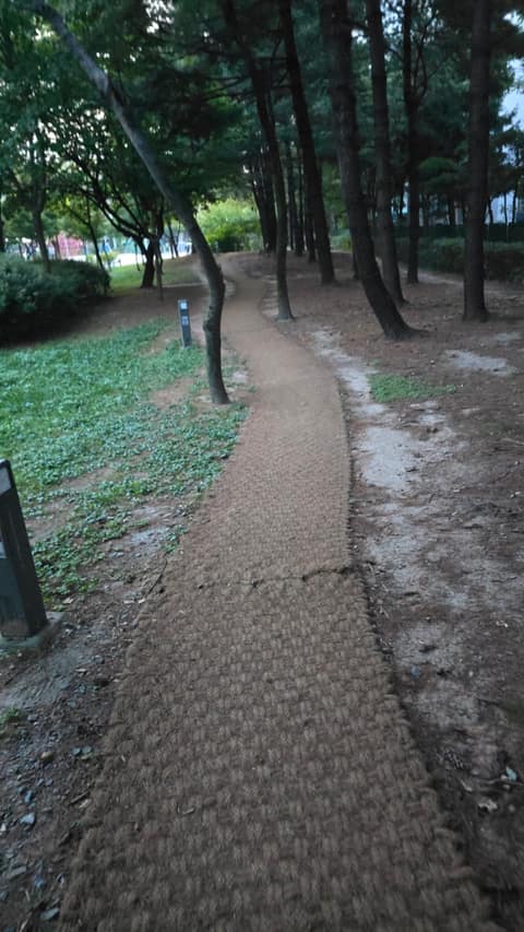 천사길 사진 4