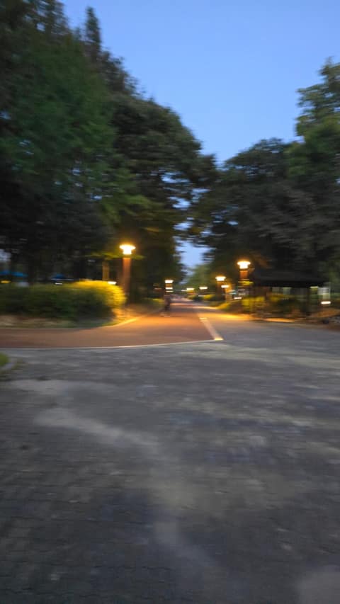천사길 사진 5