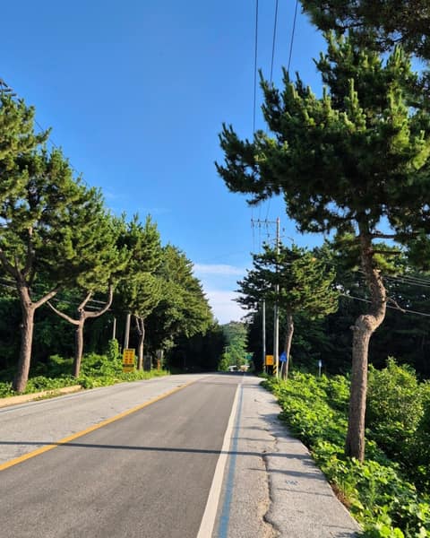 해파랑길28코스 사진 5