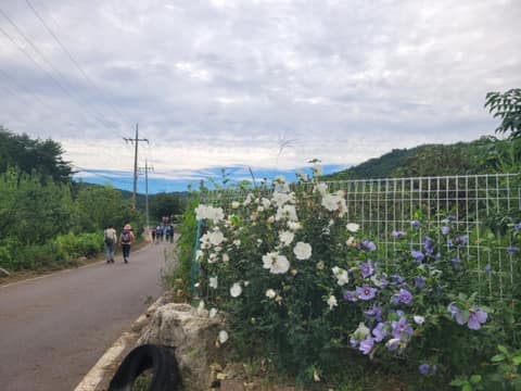 해파랑길29코스 사진 1