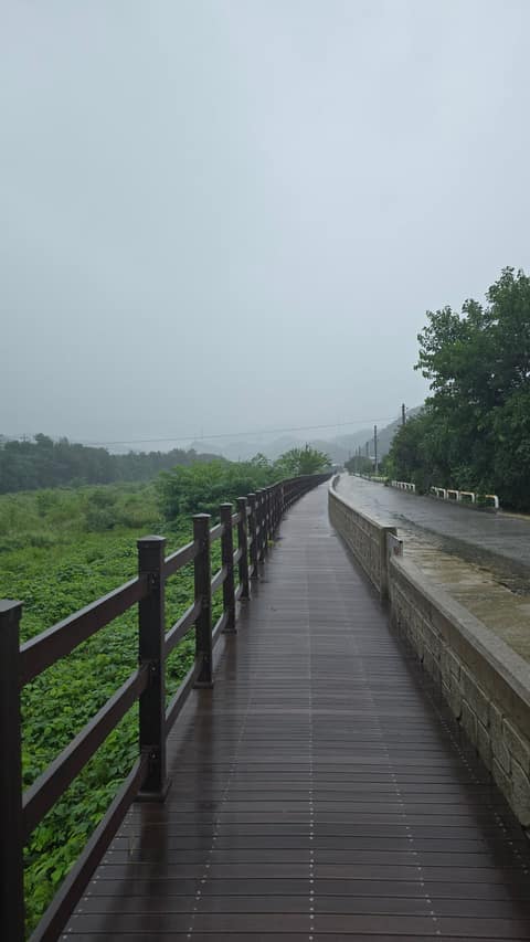 해파랑길29코스 사진 4